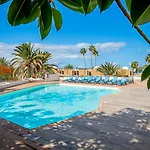 Ponderosa Minicasa *